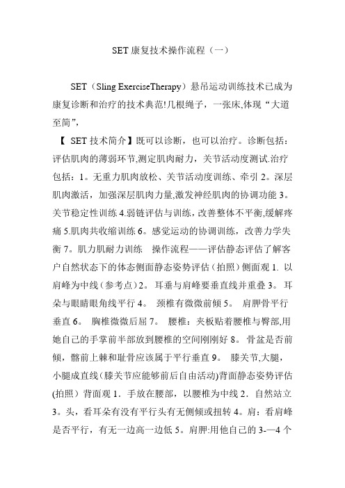 SET康复技术操作流程(一)