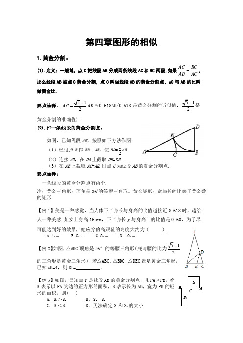 北师大版九年级(上)数学第四章图形的相似讲义---黄金分割