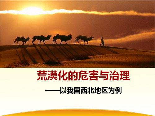 公开课 荒漠化的危害与治理
