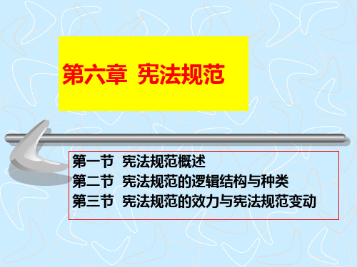 01-6第一编--宪法基本理论(第六章-宪法规范)