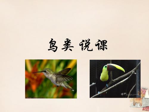 七年级生物下册12.1鸟类说课课件(新版)苏科版(精)