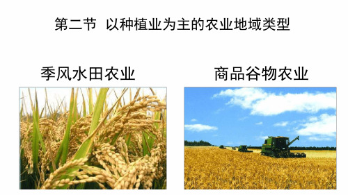 32商品谷物农业上课