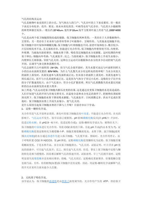 气孔的结构及运动