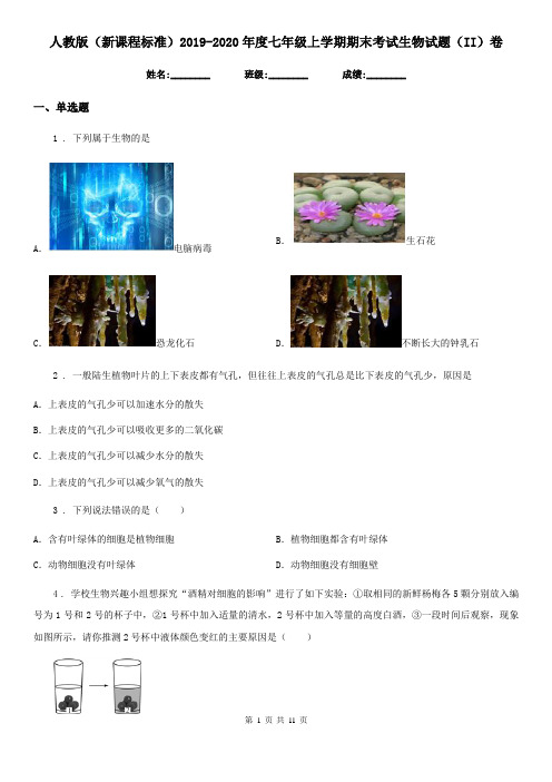 人教版(新课程标准)2019-2020年度七年级上学期期末考试生物试题(II)卷精版