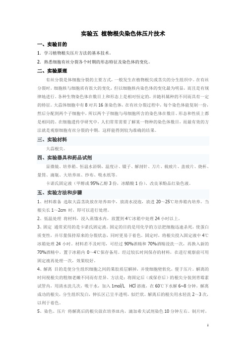 实验五 植物根尖染色体压片技术