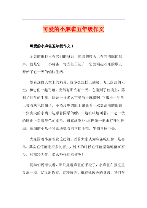 可爱的小麻雀五年级作文