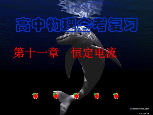 第十一章  恒定电流