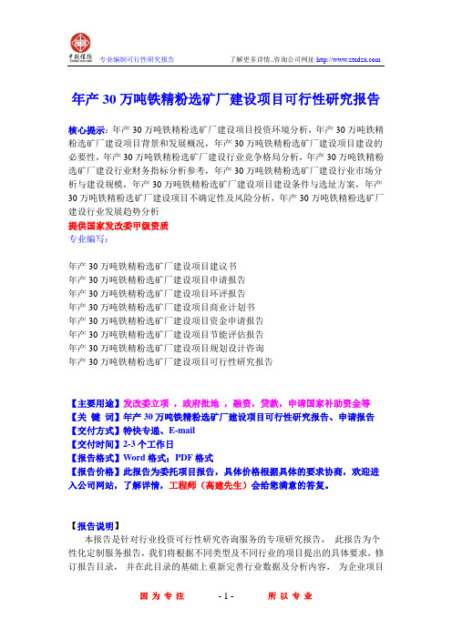 年产30万吨铁精粉选矿厂建设项目可行性研究报告