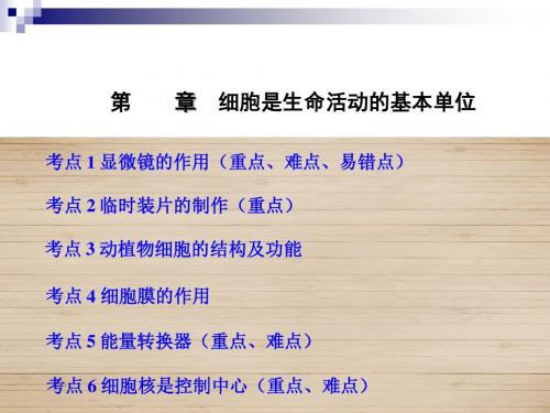 中考生物第二单元第一章细胞是生命活动的基本单位复习课件