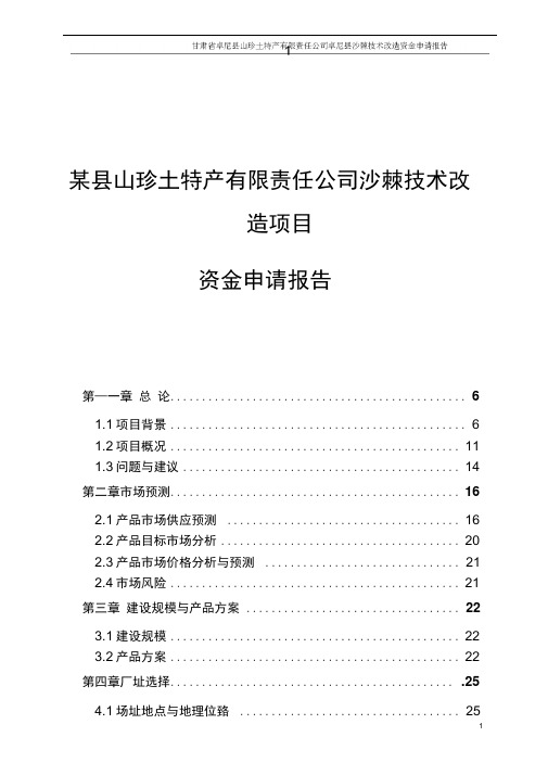 某县山珍土特产有限责任公司某县沙棘技术改造项目可行性研究报告