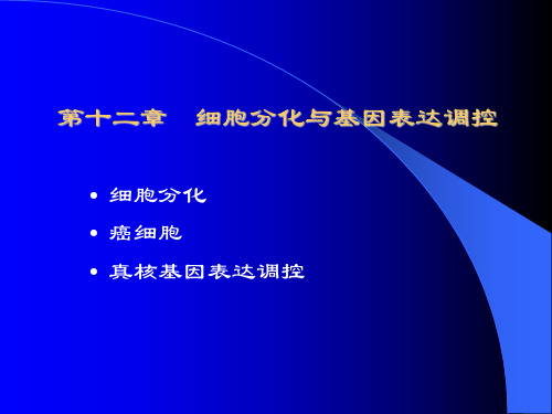 《细胞生物学》第十二章细胞分化与基因表达1ppt课件