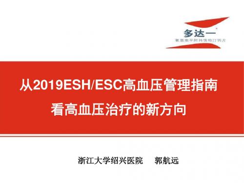 从2013ESHESC高血压管理指南看高血压治疗的新方向-精品文档