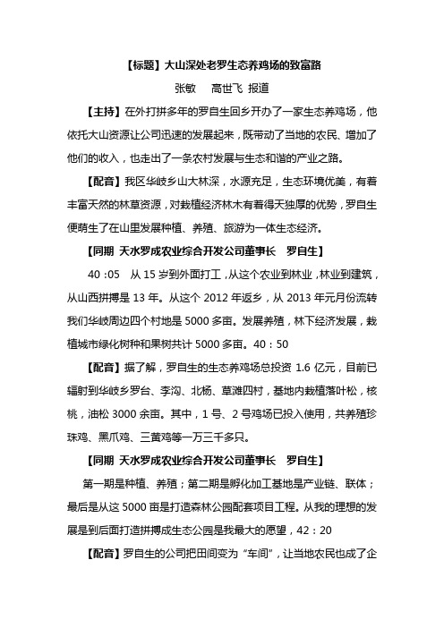 大山深处老罗生态养鸡场的致富路(张敏 高世飞)