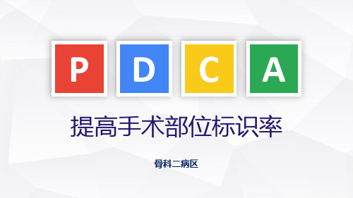提高手术部位标识率(2)(1)