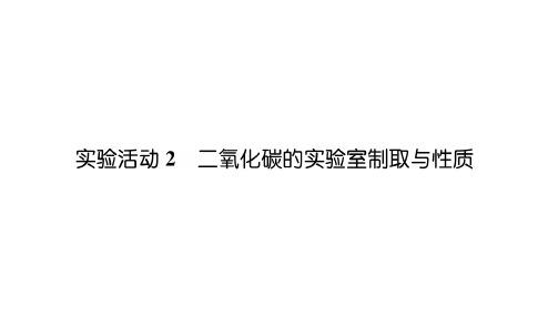 人教版九年级上册化学第6单元实验活动2  二氧化碳的实验室制取与性质考点必背
