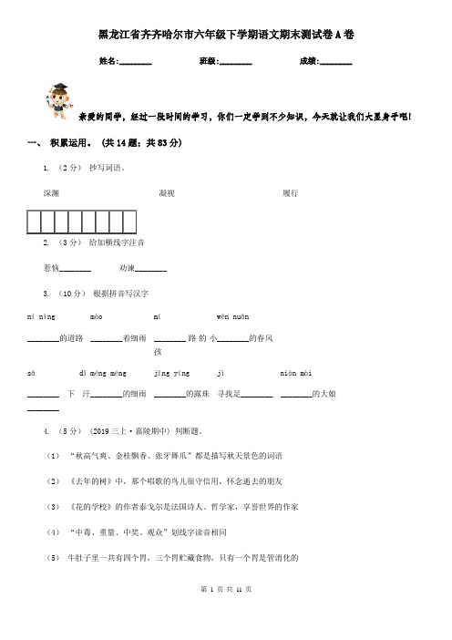 黑龙江省齐齐哈尔市六年级下学期语文期末测试卷A卷