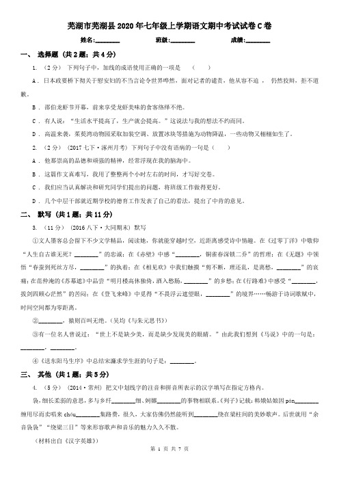 芜湖市芜湖县2020年七年级上学期语文期中考试试卷C卷