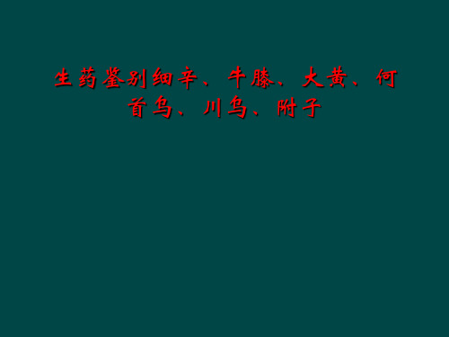 生药鉴别细辛、牛膝、大黄、何首乌、川乌、附子