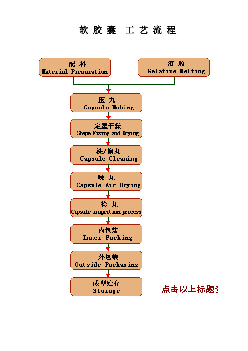 软胶囊基本工艺培训资料