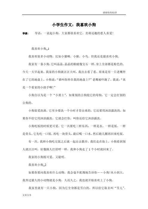 小学生作文：我喜欢小狗