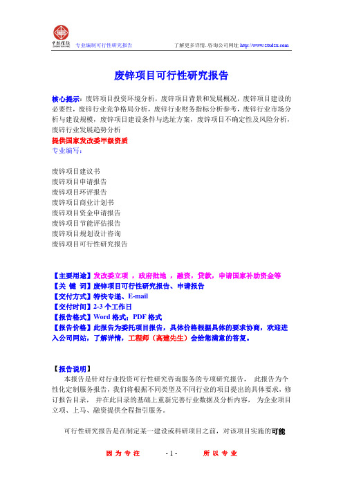 废锌项目可行性研究报告