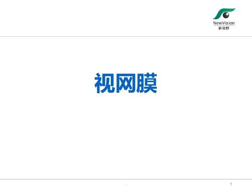 视网膜PPT课件