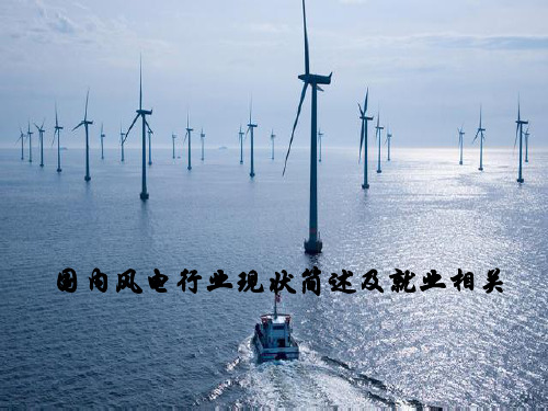 国内风电行业现状简述及就业相关PPT参考课件