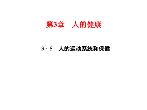 浙教版九年级科学下册习题课件：3.5 人的运动系统和保健(共15张PPT)