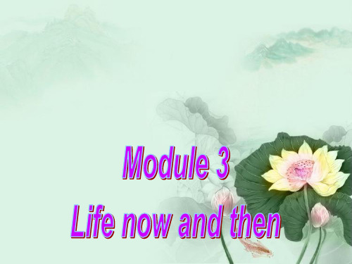 荐-外研版九年级下册的英语M3U3.ppt