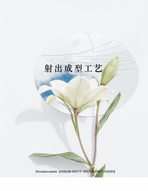射出成型工艺