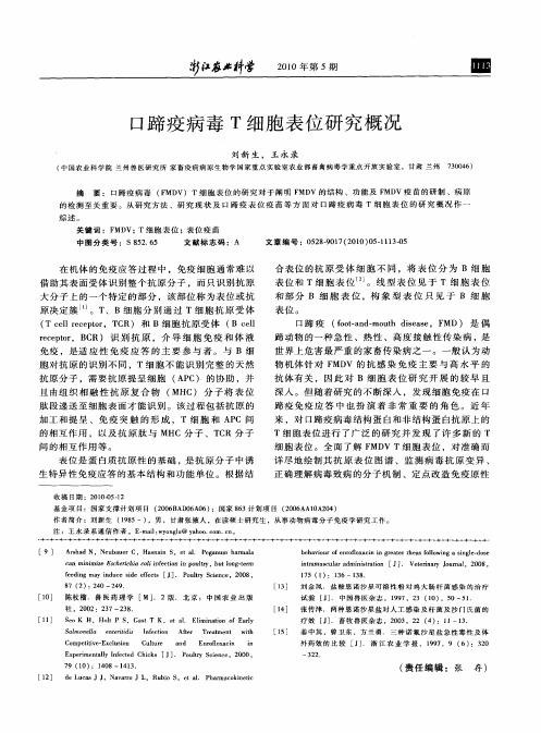 口蹄疫病毒T细胞表位研究概况
