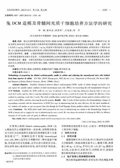 兔DCM造模及骨髓间充质干细胞培养方法学的研究