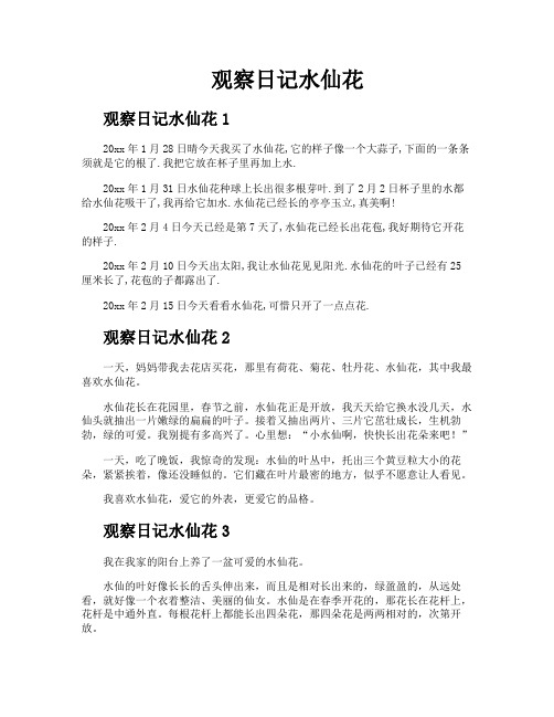 观察日记水仙花