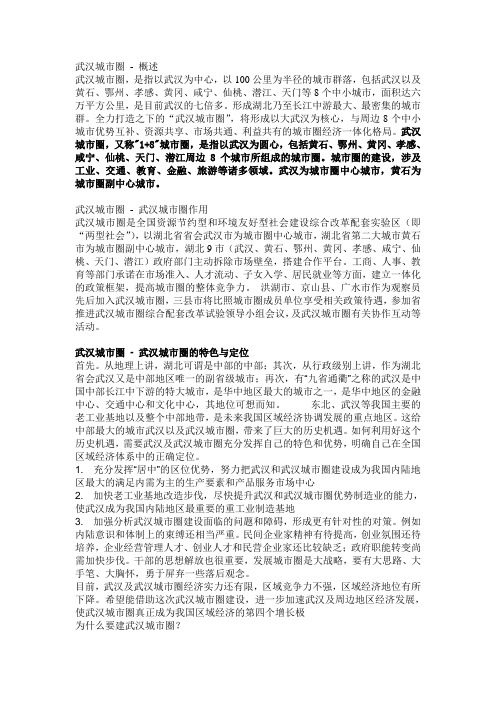 武汉城市圈