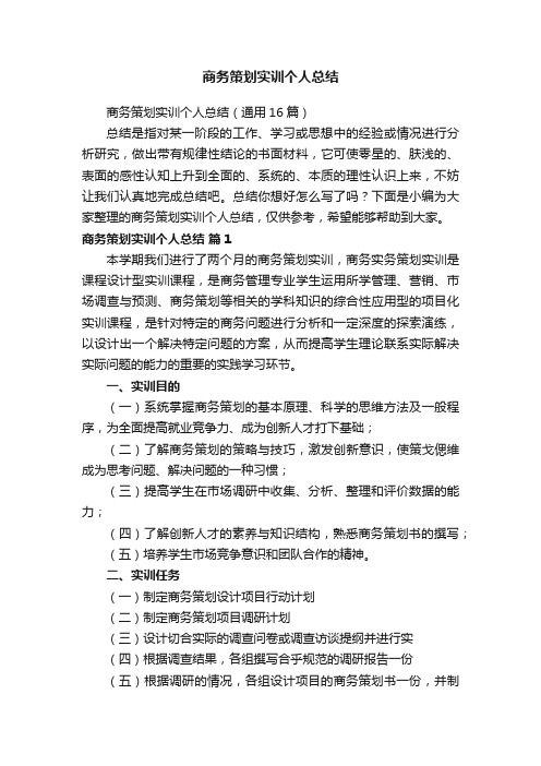 商务策划实训个人总结