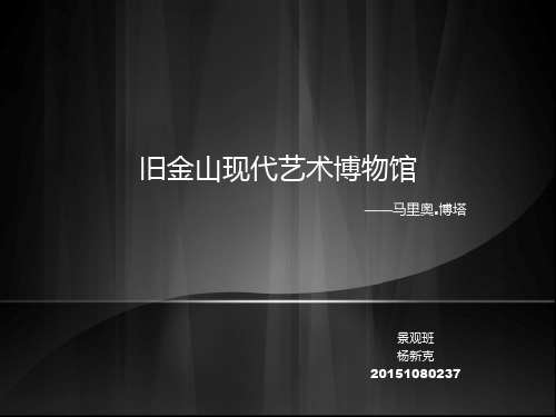 旧金山现代艺术博物馆