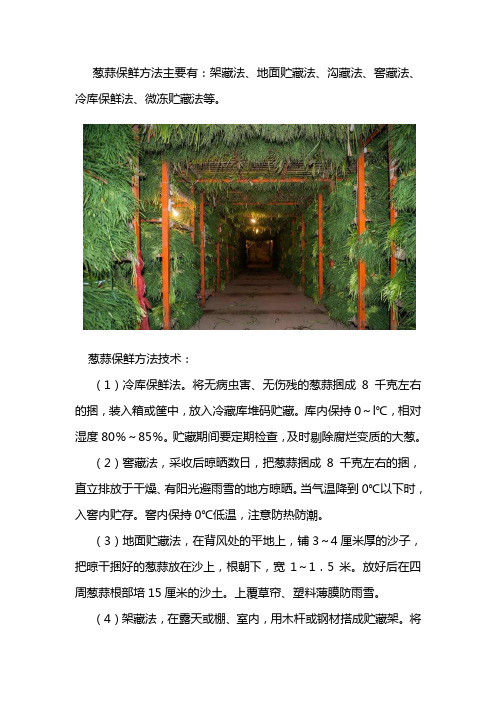 葱蒜的冷库建造及保鲜储存方法