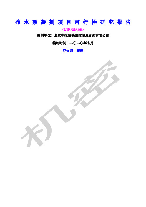 净水絮凝剂项目可行性研究报告