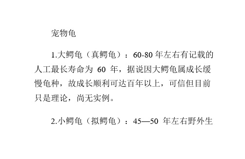 各种龟龟的寿命表