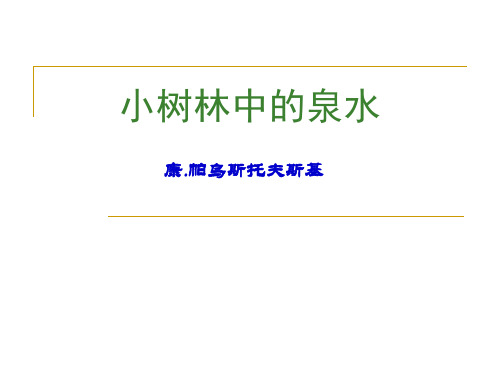 小树林中的泉水