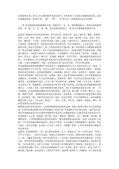植物判断