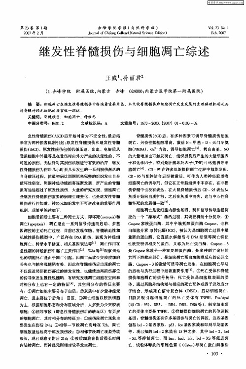 继发性脊髓损伤与细胞凋亡综述