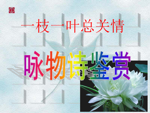 咏物诗鉴赏