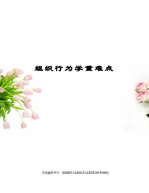 组织行为学重难点