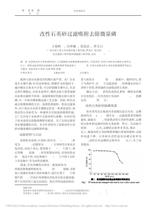 改性石英砂过滤吸附去除微量磷_王俊岭