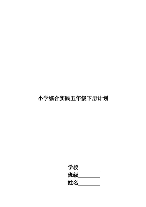 小学综合实践活动五年级下册计划