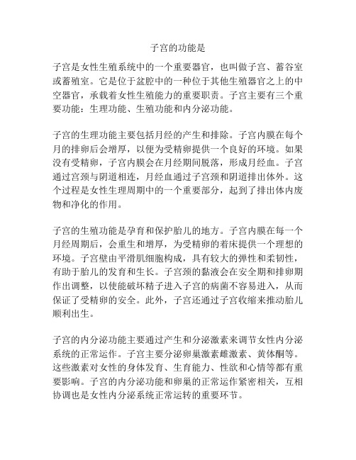 子宫的功能是
