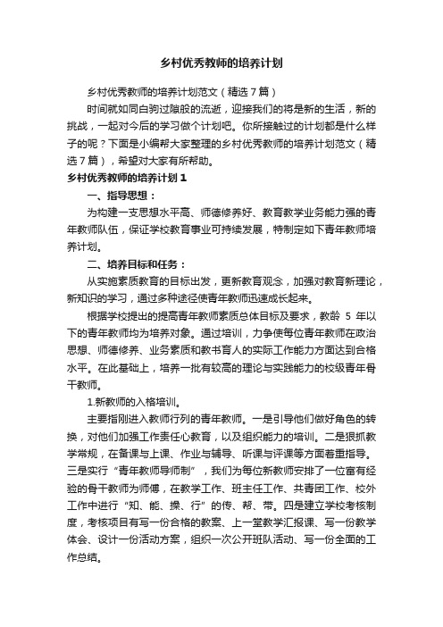 乡村优秀教师的培养计划