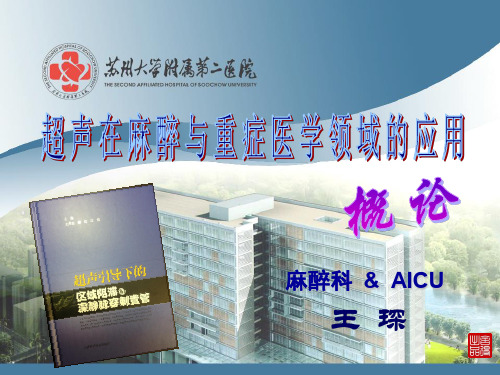超声在麻醉与重症医学领域的应用