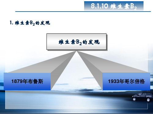 8.1.10维生素B2PPT